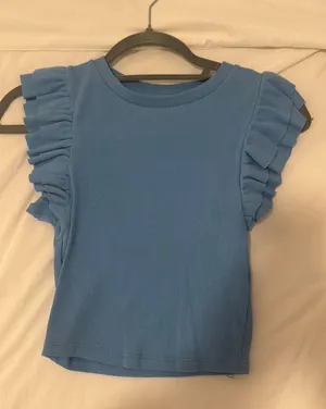 ZARA Ruffle Sleeve Top thumbnail 1