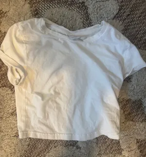 Aritzia tee  thumbnail 1