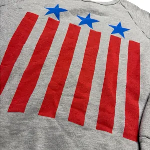 ✨🇺🇸 Wildfox Patriotic Stars & Stripes Sweatshirt Size L 🇺🇸✨‎ thumbnail 4