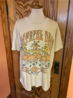 American Eagle Grateful Dead Pumpkin Patch Bears Graphic Band Tee XS Oversized thumbnail 7