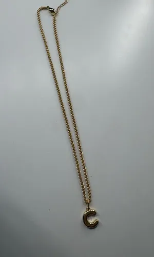 Evry Jewels Necklace Gold thumbnail 1