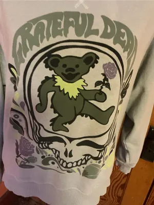 American Eagle Grateful Dead Bear Skull Sweatshirt XS Gray Lived-In Raw Edge thumbnail 7
