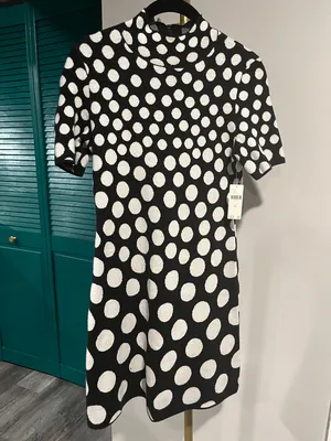 Anthropologie NWT The Nina Short-Sleeve Mock-Neck Mod Sweater Mini Dress thumbnail 6