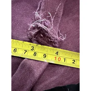American Eagle Shorts Womens Size 14 Super Stretch Raw Hem Plum‎ Purple thumbnail 5