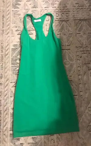Aritzia Dress thumbnail 1