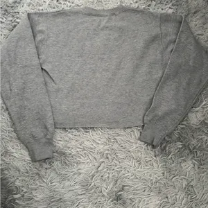 Gray RAD Cropped Sweatshirt (S) thumbnail 5