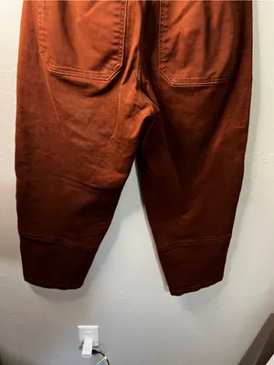 Everlane Utility Barrel Pants Rosewood Terracotta High Rise Wide Cropped Pants thumbnail 10