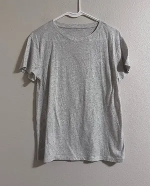 NWOT American Eagle Outfitters Light Gray Short Sleeve Crew Tee thumbnail 1