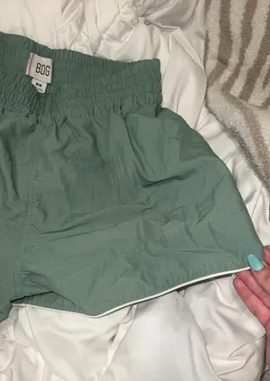 Urban Outfitters BDG Shorts thumbnail 1