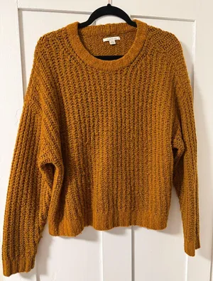 American Eagle Cropped Sweater thumbnail 1
