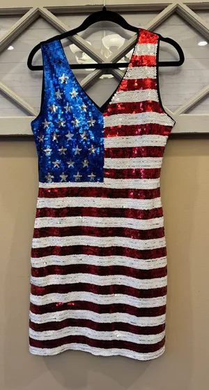 American Flag Sequin Dress V-Neck Sleeveless USA Patriotic Glitter Tank Dress Lg thumbnail 1