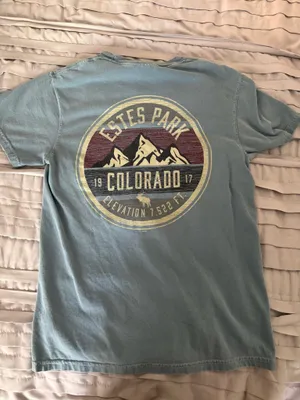 Comfort Colors T-Shirt thumbnail 2