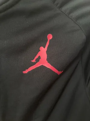 Air Jordan Jumpman Jacket thumbnail 3