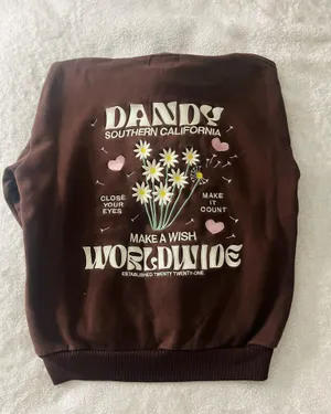 Dandy Worldwide Hoodie thumbnail 2