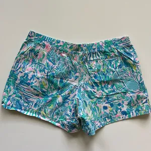 Lilly Pulitzer Ocean Trail Shorts -Size L thumbnail 2