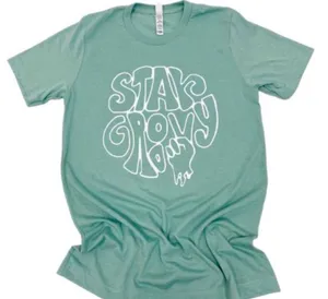 Bella Canvas Stay Groovy Graphic Tee. pretty tee thumbnail 1