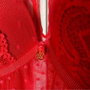 Daisy Negligie Red Sexy Sheer Lace M Babydoll Top Fairy Nightgown Lingerie Y2K thumbnail 4