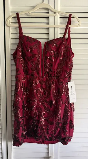 Burgundy Amazon Dress thumbnail 1