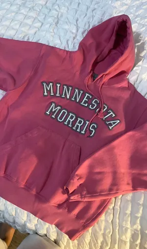 J. America Pink hoodie thumbnail 1
