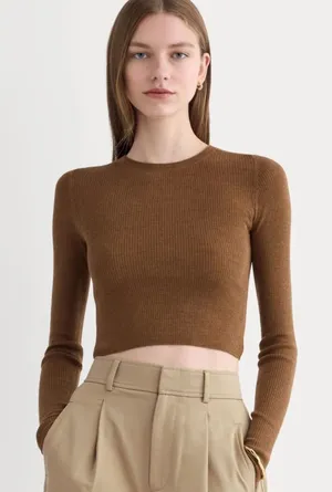 Everlane Cropped Crew Top in Ultrafine Merino thumbnail 1