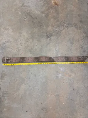 Vintage Y2K Vegan Snakeskin Wide Waist Belt Double Buckle Cinch Belt Large thumbnail 3