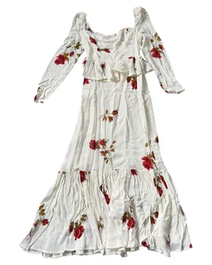 Reformation Zandra Dress American Beauty Floral Ivory Red Roses thumbnail 1