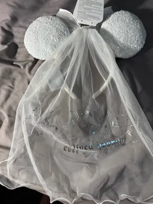 Disney Mickey ears  thumbnail 2