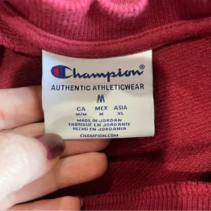 Champion Florida State Seminole Crewneck Pullover Sweatshirt Burgundy Size M thumbnail 6