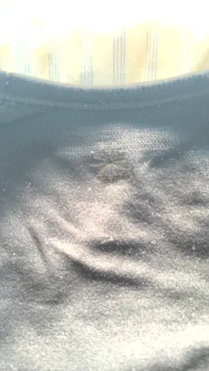 Black Athleta Top thumbnail 4