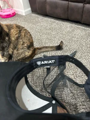 Ariat Hat thumbnail 4