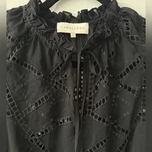 Anthropologie Caballero Lace Blouse Size S NWOT thumbnail 6