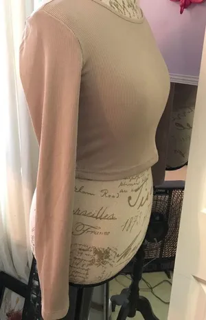 Forever21 Nude Long Sleeve Crop Top thumbnail 4