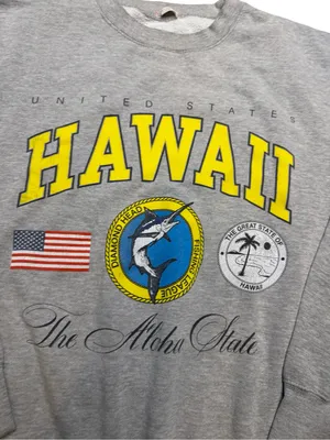 🌺🩶 Brandy Melville John Galt‎ Hawaii Aloha State Sweatshirt One Size ✨🌴 thumbnail 4