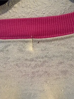 Wildfox Cream Sweatshirt with Bright Pink Trim thumbnail 4