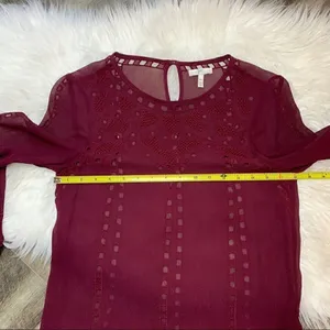 Joie Raisin Gaiane Embroidered Eyelet Blouse thumbnail 10