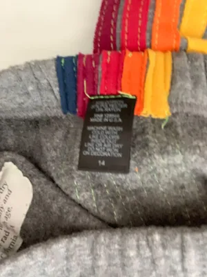 Aviator Nation 5-Stripe Sweatpants Heather Grey thumbnail 6