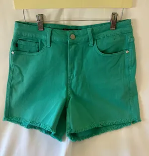 Judy Blue Shorts Womens Large Sienna Aquamarine Frayed Hem thumbnail 1