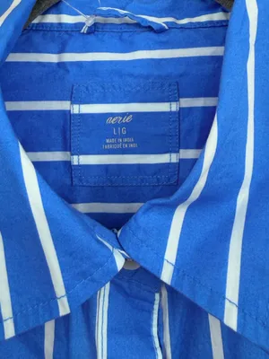Aerie Good Day Button‎ Down Shirt Large Blue Striped Oversized Cotton thumbnail 7
