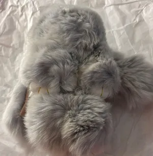 Fluffy Gray Fur animal thumbnail 1