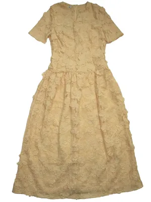 NWT Misook Lace Pleated Drop Waist Maxi in Pale Gold Applique Petal Dress XS thumbnail 3