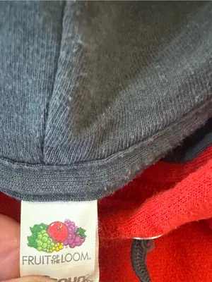 Fruit of the Loom Red 'Home' Ohio Outline Hoodie thumbnail 2