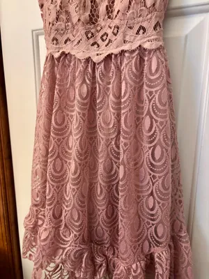 Free People Pink Adelia Lace Dress thumbnail 4