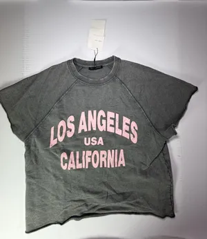 Zara Gray Graphic Tee with Pink Los Angeles Print thumbnail 1