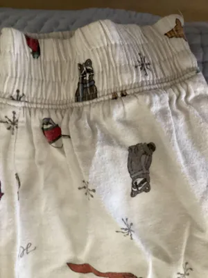 Hollister Pj Pants thumbnail 4