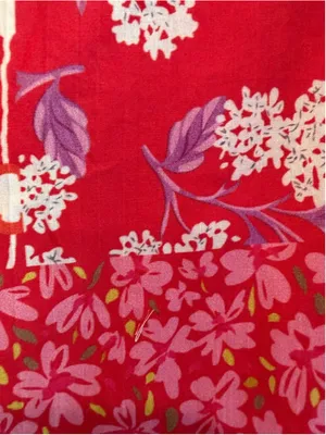 Entro Women’s Sightseer Floral Print Midi Dress in Red Size sS thumbnail 6