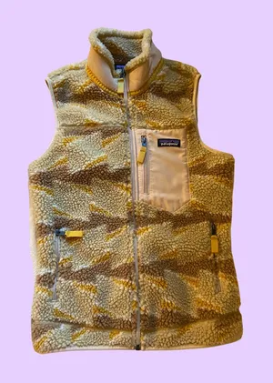 Patagonia Women’s Classic Retro-X Fleece Vest 🔥 thumbnail 1