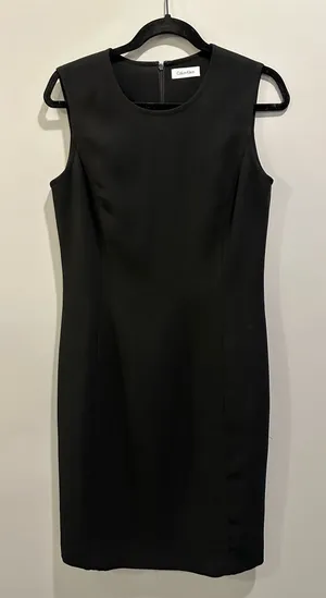 Calvin Klein Sleeveless Fitted Bodice Dress Size 6 thumbnail 1