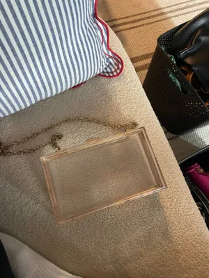 Clear purse thumbnail 2