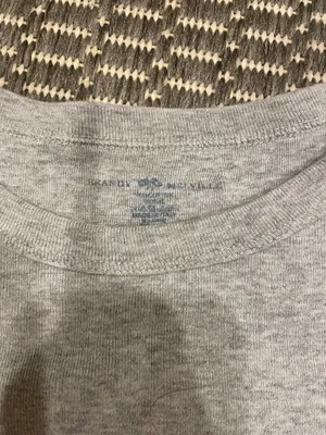 Brandy Melville Grey Ashlyn Crop Top thumbnail 4