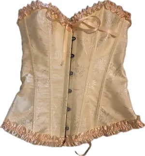 Shein Corset thumbnail 1